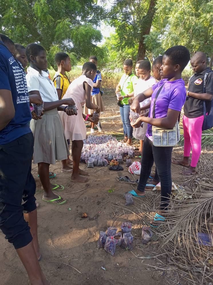 Students during an activity in Togo. Credit: CNT-EPT Togo